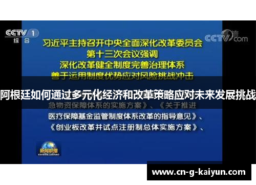阿根廷如何通过多元化经济和改革策略应对未来发展挑战 阿根廷如何通过多元化经济和改革策略应对未来发展挑战
